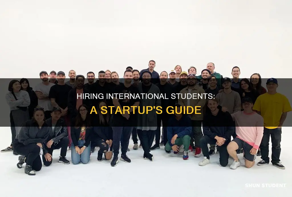 do startups hire international students