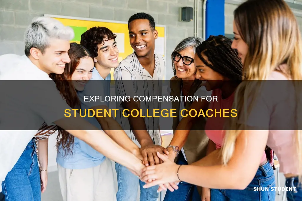 do student collage coches get payed