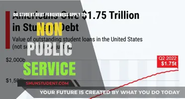 Does Student Debt Forgiveness Extend Beyond Public Service Roles?