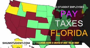 Student Employee Tax Obligations in Florida
