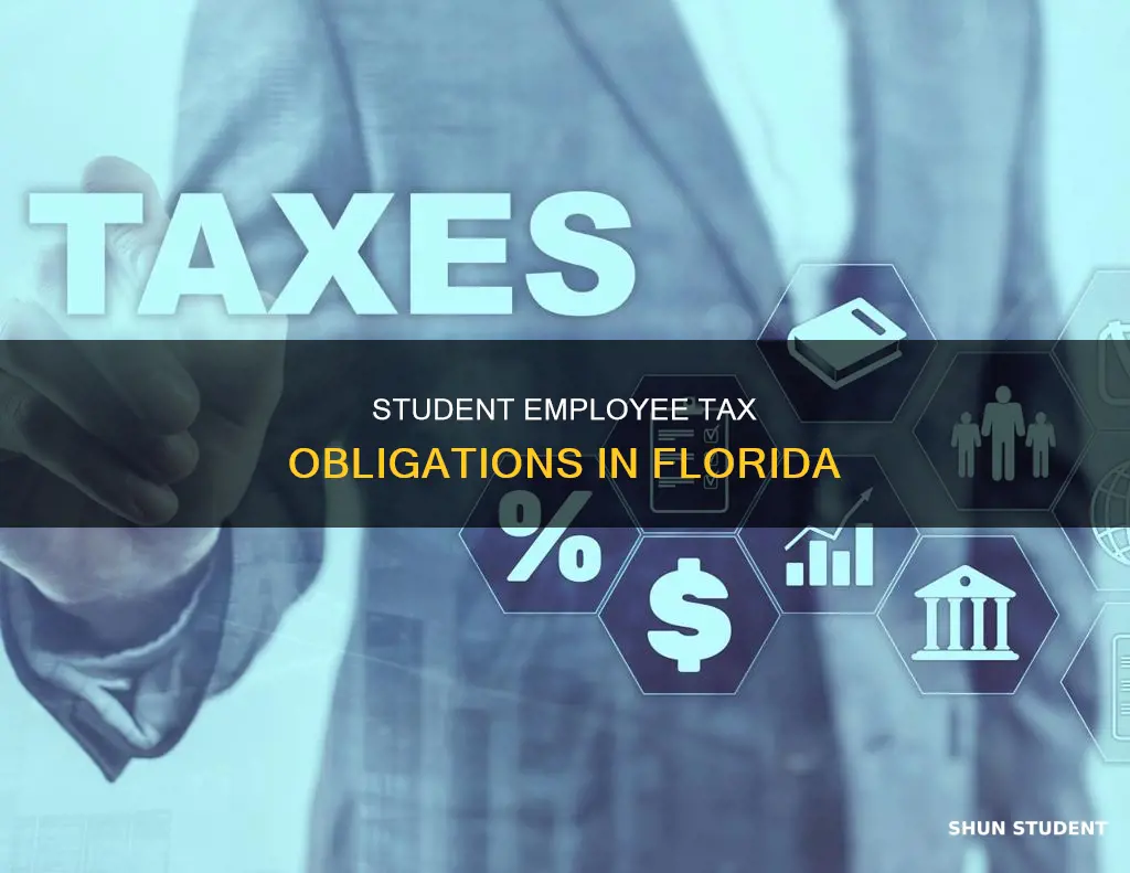 do student employees pay taxes florida