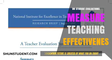 Do Student Evaluations Truly Reflect Teaching Effectiveness? A Critical Analysis