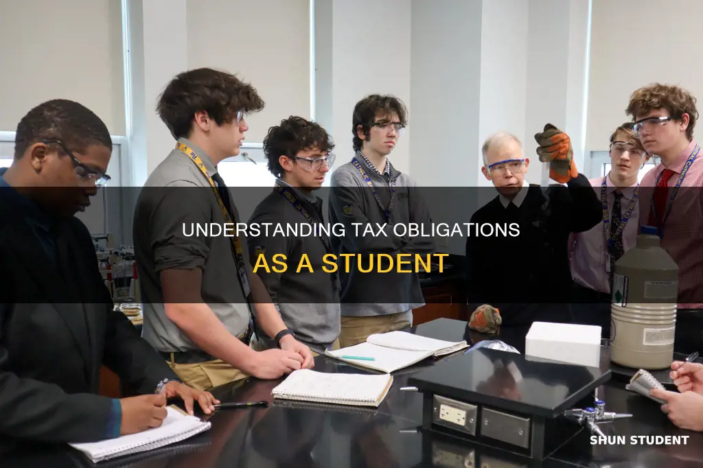 do student have to pay tax