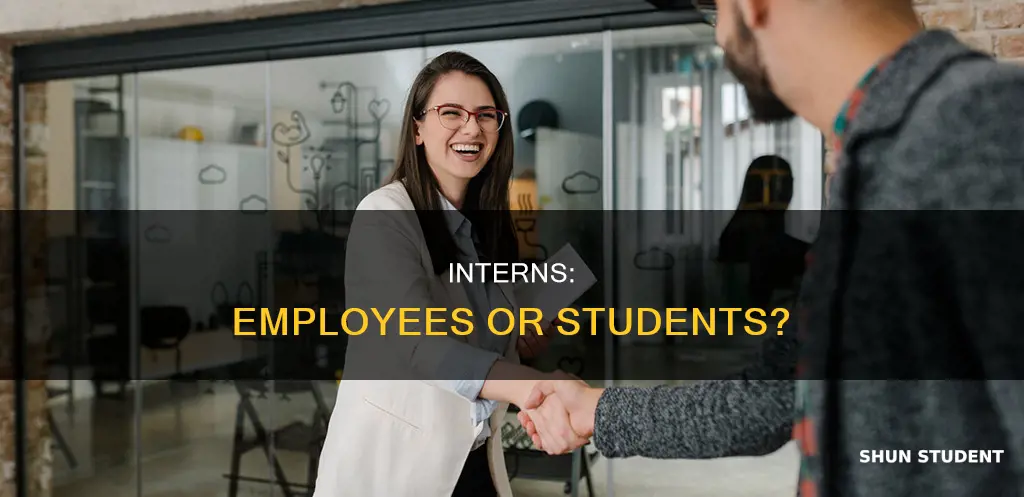 do student interns count as employees