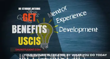 Internship Benefits: USCIS Offers for International Students