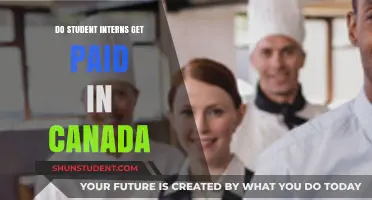 Paid Internships: A Student's Guide to Canadian Work Placements