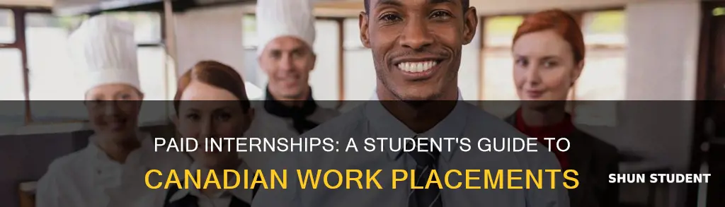do student interns get paid in canada