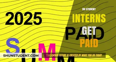 Internship Pay: Do Students Get a Salary?