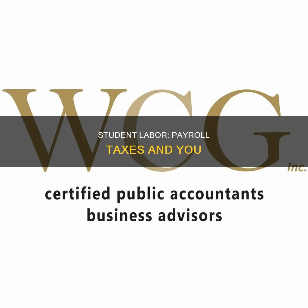 do student labor pay payroll taxes