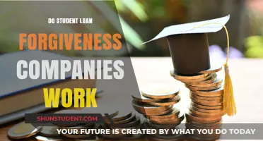 Do Student Loan Forgiveness Companies Deliver on Their Promises?