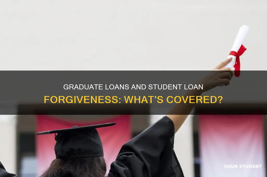 do student loan forgiveness programs include graduate lonas