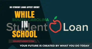 Understanding the Impact of Student Loans on Credit During School Years