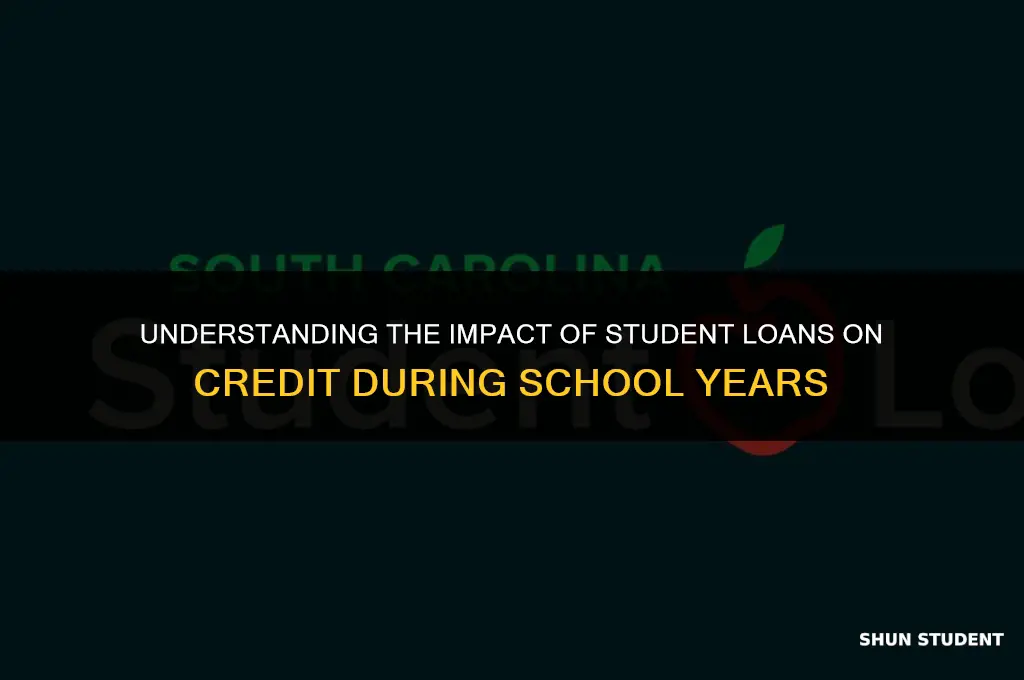 do student loans affect credit while in school