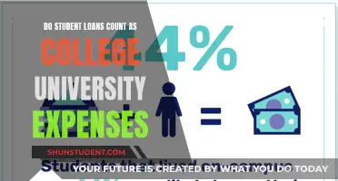 Student Loans: College Expenses or Debt?