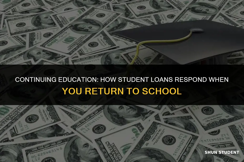 do student loans pause when you go back to school