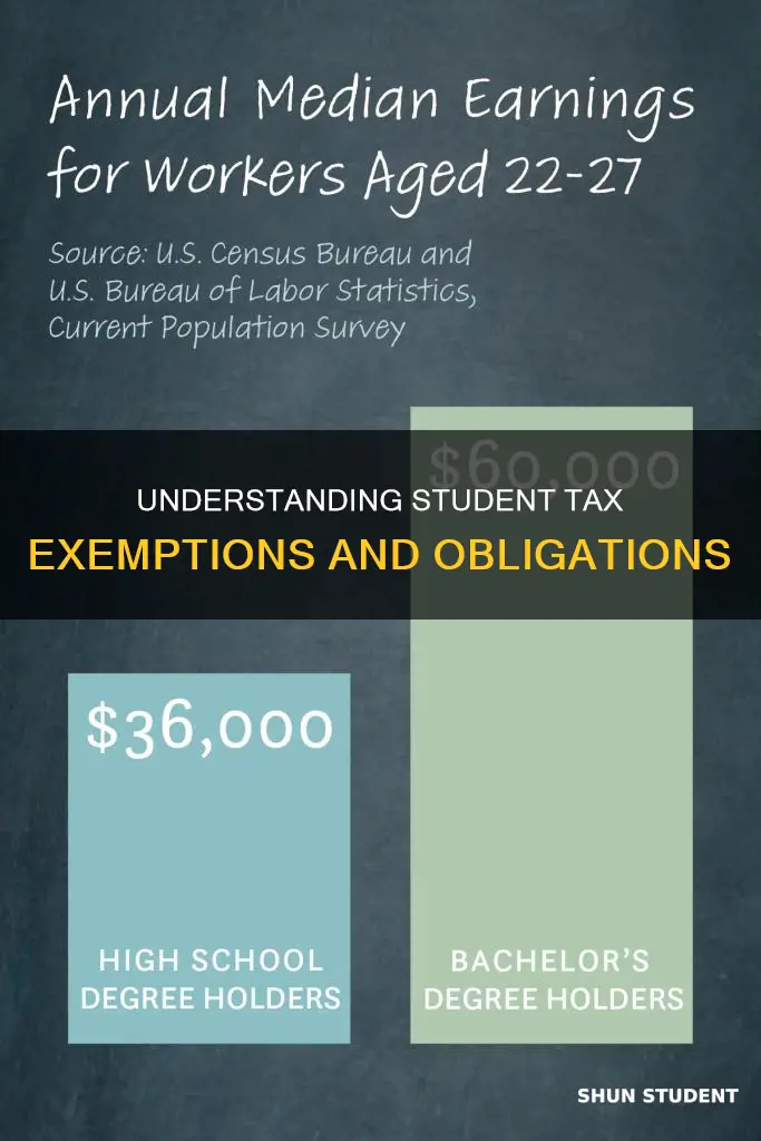 do student pay tax on earnings