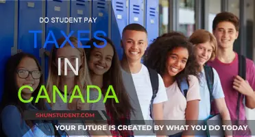 Student Tax Obligations in Canada: What You Need to Know