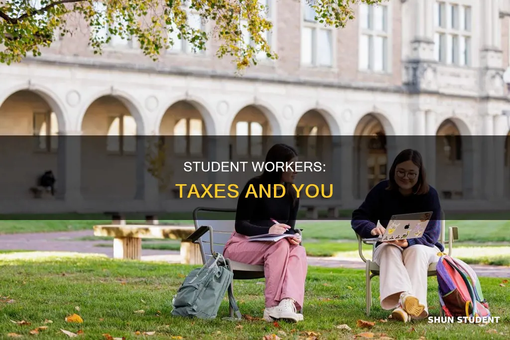 do student workers have to pay taxes baylor
