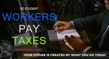 Student Workers and Taxes: What You Need to Know