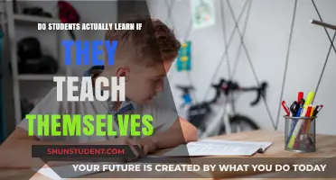 Self-Taught Learning: Do Students Truly Master Skills Independently?