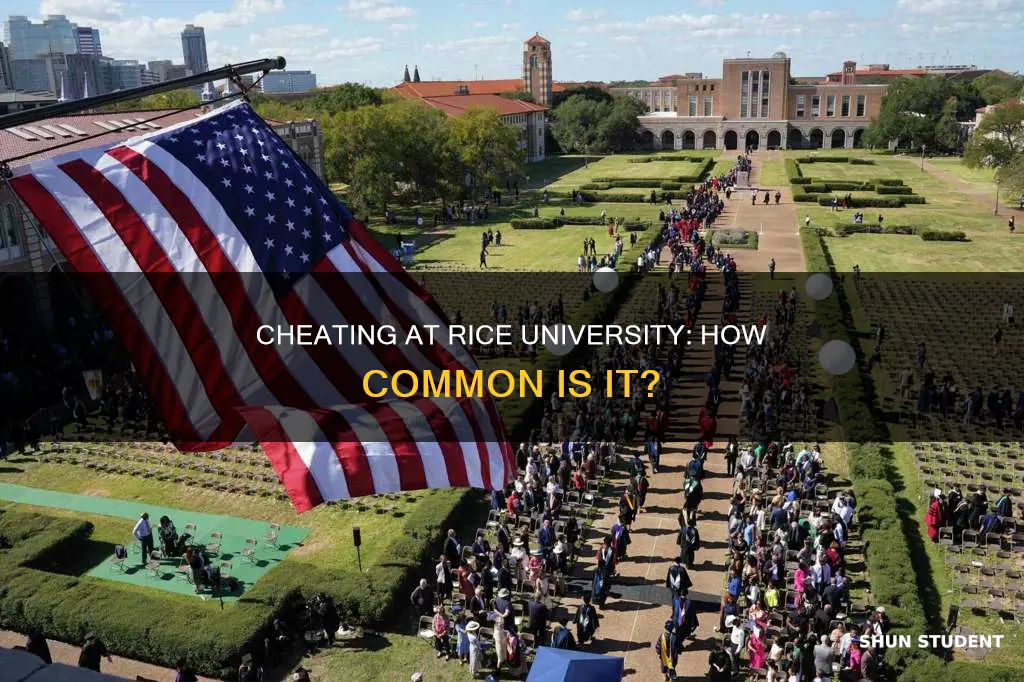 do students at rice university cheat