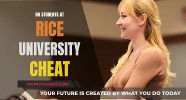 Cheating at Rice University: How Common Is It?