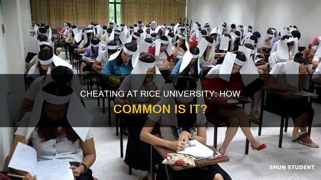 do students at rice university cheat