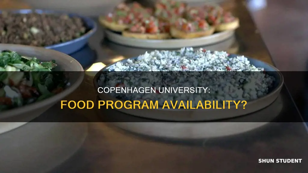 do students at university of copenhagen have a food program