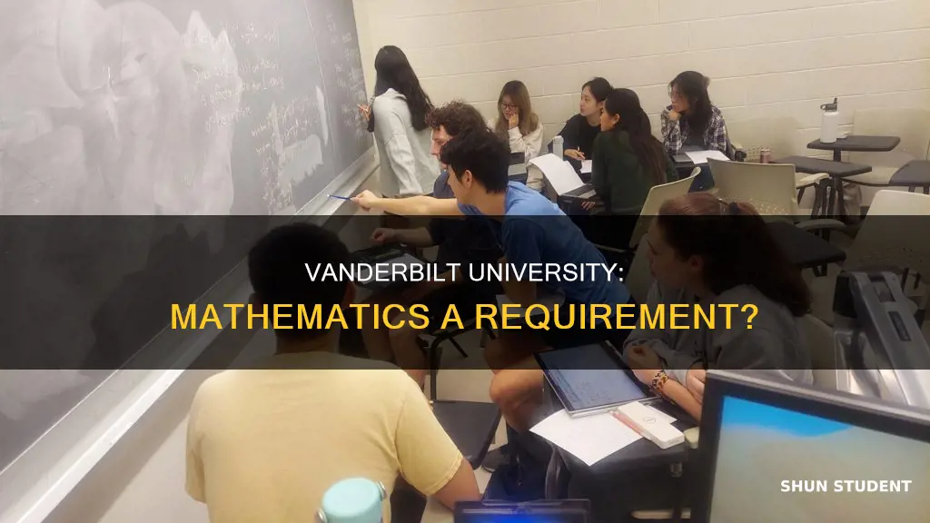 do students at vanderbilt university have to take mathematics