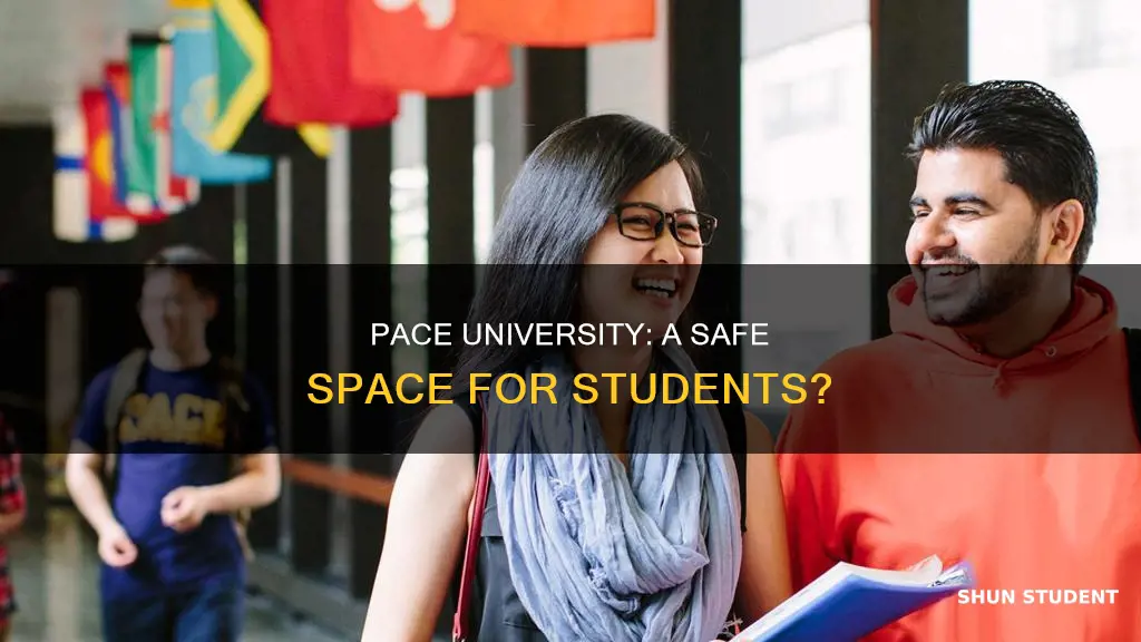 do students feel safe at pace university