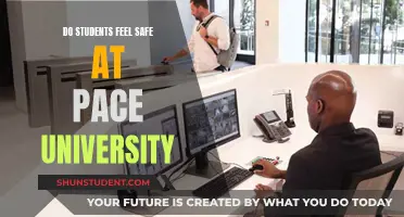 Safety at Pace University: Students' Perspectives