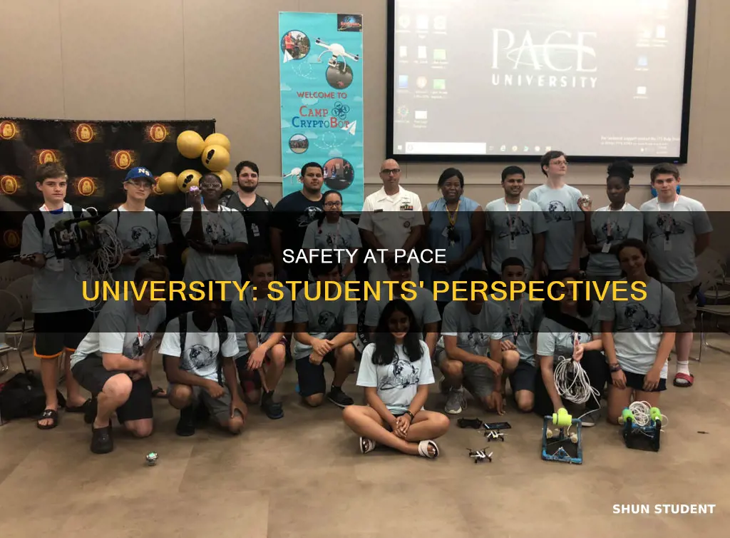 do students feel safe at pace university