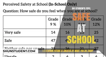 Creating a Secure Learning Environment: Do Students Feel Safe at School?