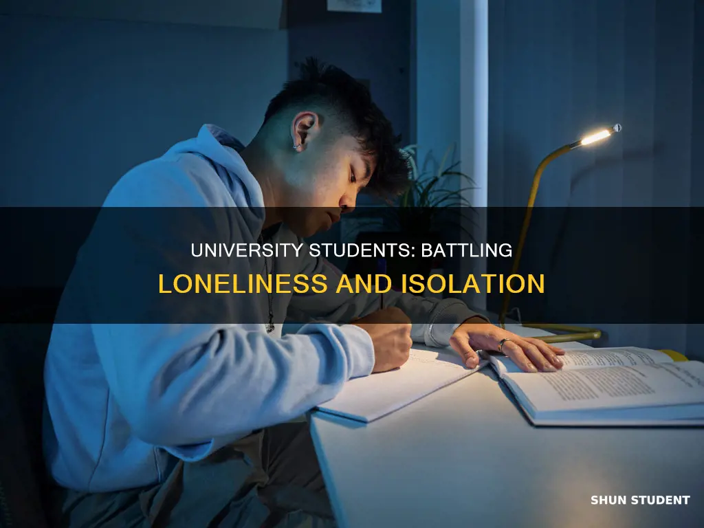 do students get lonely in universities