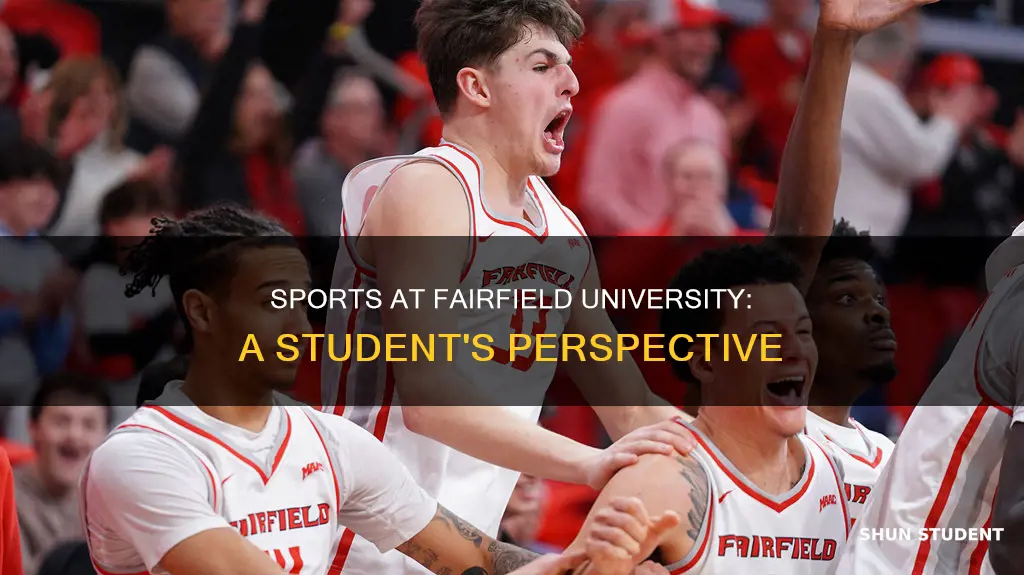 do students go to sports at fairfield university