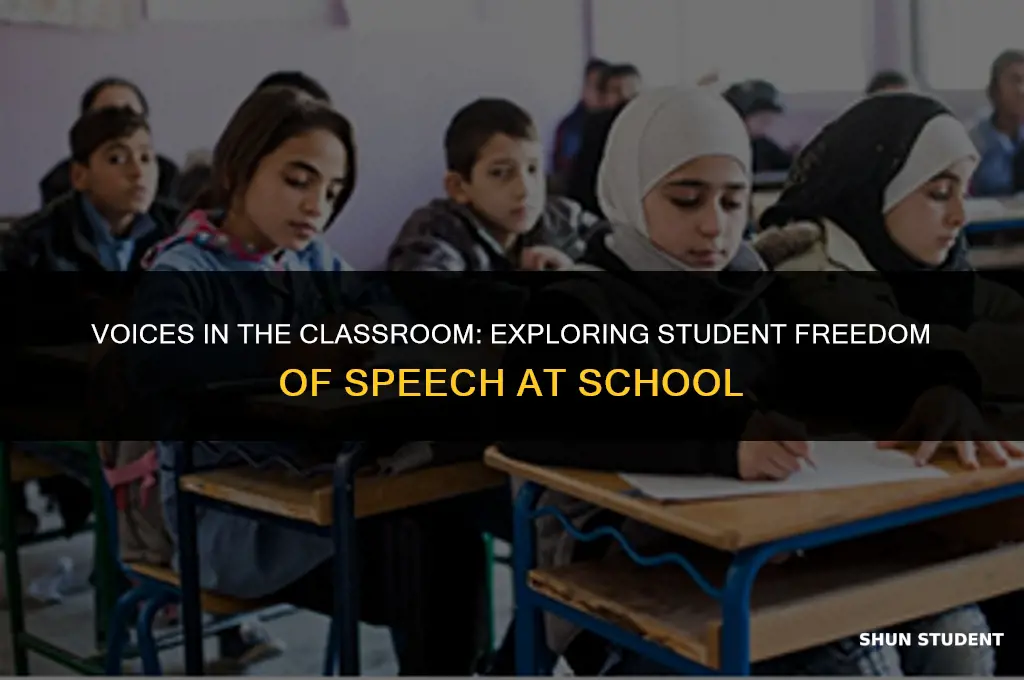 do students have freedom of speech at school