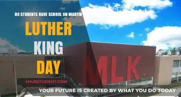 Honoring Martin Luther King Jr.: A Day of Reflection, Not Recreation
