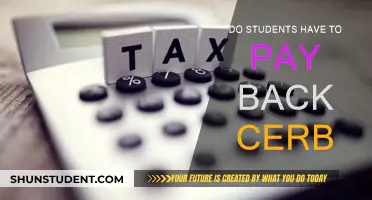 Understanding CERB Repayment Requirements for Students