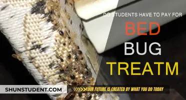 Bed Bug Bites: Who Pays for Pest Control?