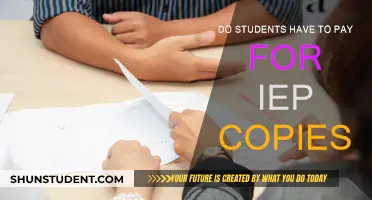 Who Pays for IEP Copies?