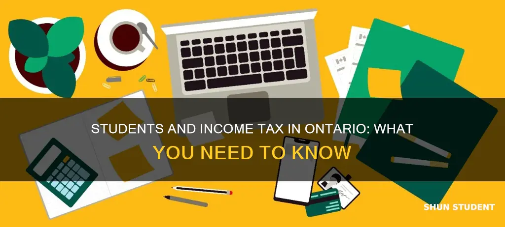 do students have to pay income tax in ontario