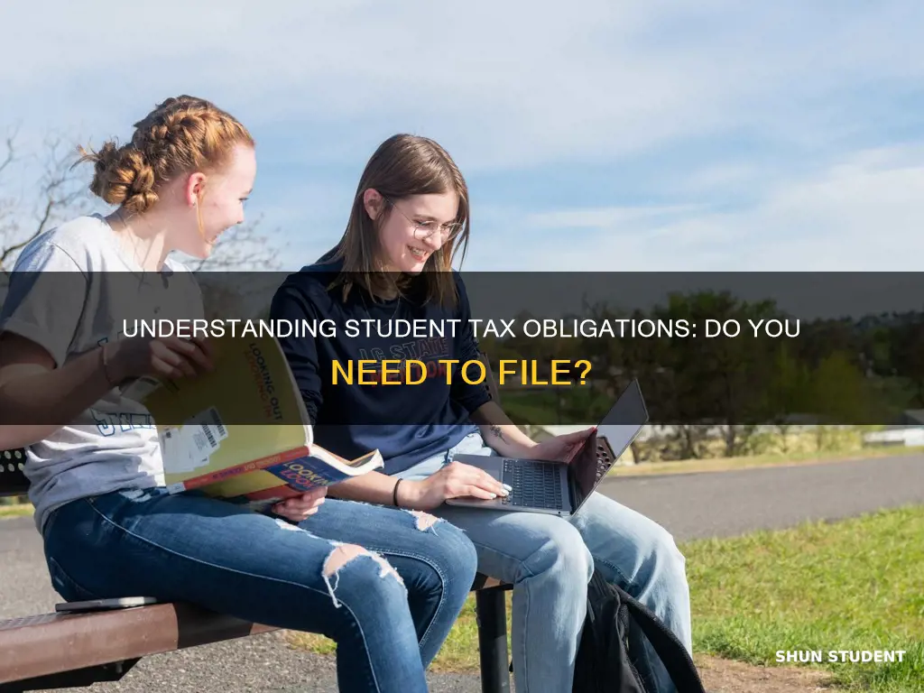 do students have to pay taxes