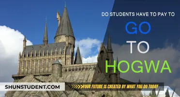 The Cost of Attending Hogwarts: Do Students Pay?
