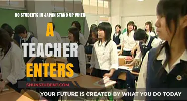 Japanese Classroom Etiquette: Do Students Stand for Teachers?