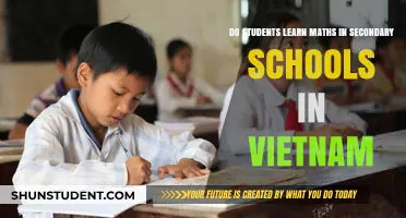 Exploring Mathematics Education in Vietnam's Secondary Schools