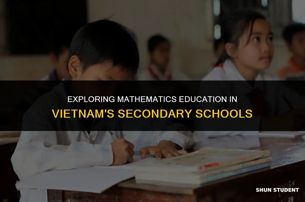 do students learn maths in secondary schools in vietnam
