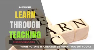 Teaching to Learn: How Students Gain Knowledge by Instructing Others