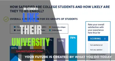 University Experience: Student Satisfaction Survey