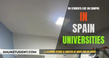 Campus Living: Spain's University Experience
