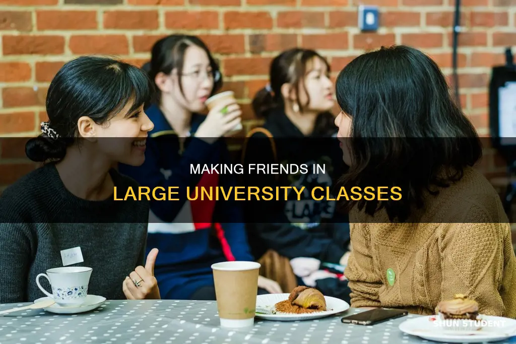 do students meet friends in their classes at large universities